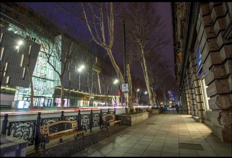 Rustaveli Apartment City Centre Tbilisi Exteriör bild